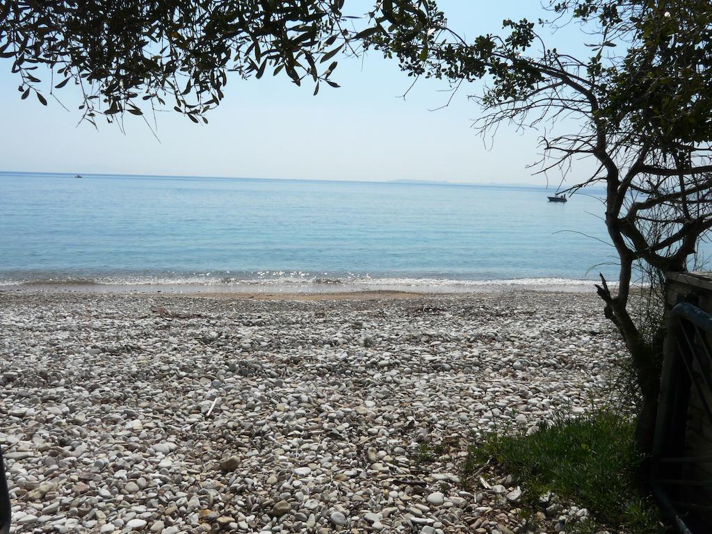 Villa Aliki Barbati Exterior foto